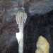 Stalagmite detta dell'angelo, emblema della Grotta di Putignano